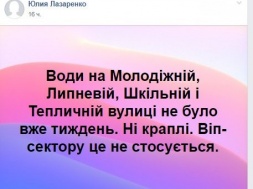 "Депутат, выходи!" или Вип-сектора проблемы людей не касаются, - в селе на Криворожье депутаты прячутся от людей, у которых нет воды