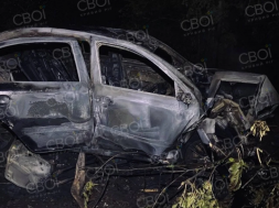 В Кривом Роге автомобиль ТЦКашников врезался в дерево и загорелся – 1 погиб 3-е пострадали