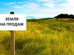 Шість земельних ділянок в Охтирці продадуть із молотка