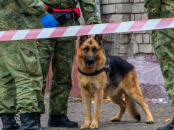 В Днепре мужчина хотел «подорвать» паспортный стол из-за того, что ему не выдали паспорт