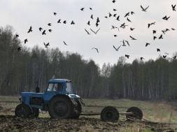 Из-за мобилизации в Украине некому уже пахать и сеять. Стране угрожает голод