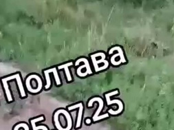 В Полтаве и Одессе насильно мобилизованные сбежали из буса ТЦКашников