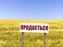 Скільки землі продали в Запорізькій області після відкриття ринку