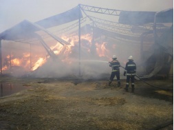 На Полтавщині горіло фермерське господарство