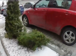 Во Львове парень распылил в людоловов газовый баллончик