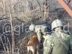 В Бердянске украинские диверсанты взорвали трансформаторную подстанцию