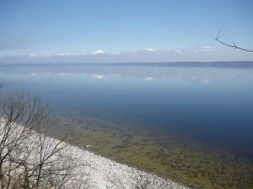 Під Дніпром через забруднення водосховища пестицидами закрили школи та дитсадки