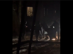 В Кривом Роге ТЦКашники застрелили гражданского и ударили ножом его сына