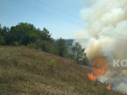 На Полтавщині горить яр: вогонь підбирається до осель та школи