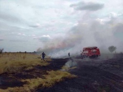 На Днепропетровщине массово горят поля и леса