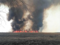 На Полтавщині горів національний парк «Нижньосульський», паліїв розшукують