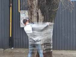 В Днепре лютует мародёрство