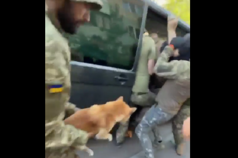 В Киеве людоловы похитили мужчину, а его собаку просто выбросили на улице