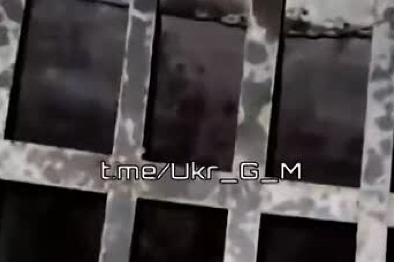 Из 95-й бригады ВСУ пытались сбежать двое солдат, но их поймали и посадили в клетку под землёй