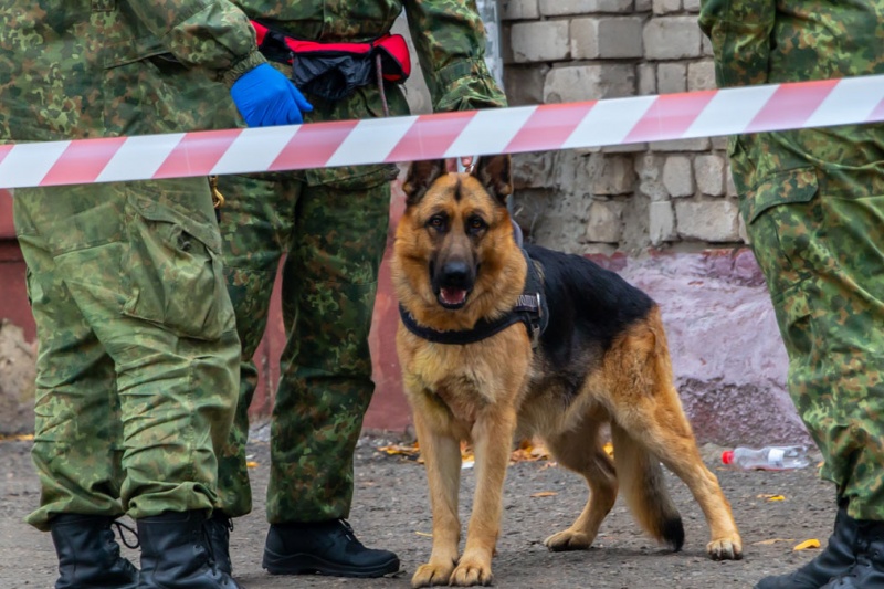 В Днепре мужчина хотел «подорвать» паспортный стол из-за того, что ему не выдали паспорт