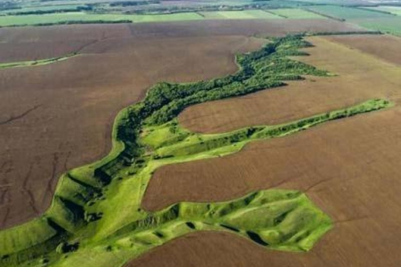 На Дніпропетровщині посадовці РДА дозволили знищити 50 природних заповідників