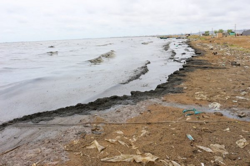 Как убивают Азовское море — коктейлем из всей таблицы Менделеева