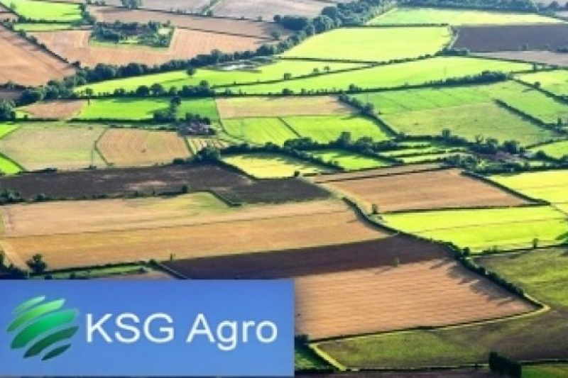 Стало известно, кому KSG Agro продал предприятие на Днепропетровщине