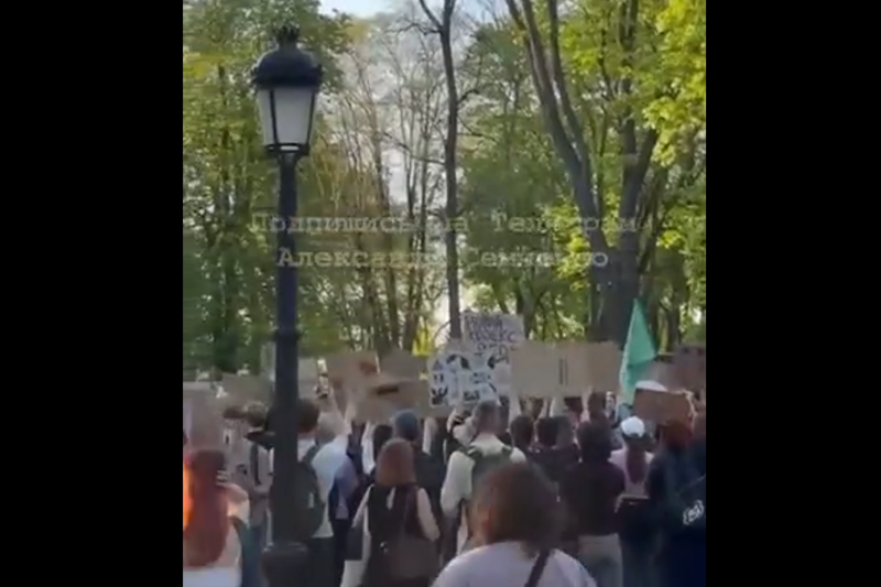 В Киеве состоялась массовая акция протеста против нового проекта Гражданского кодекса