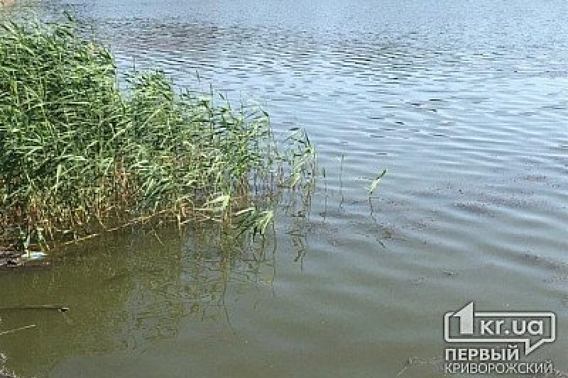 В Кривом Роге прохожий обнаружил в водоеме пакет с телом женщины без головы и конечностей