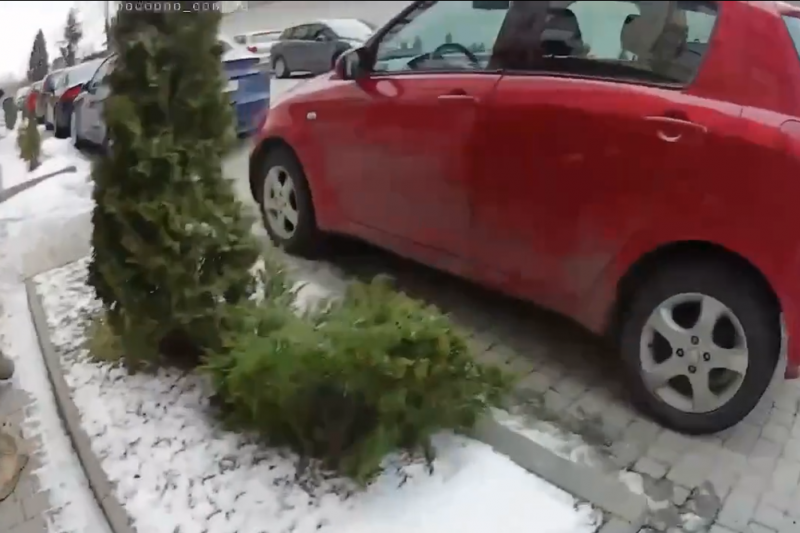 Во Львове парень распылил в людоловов газовый баллончик