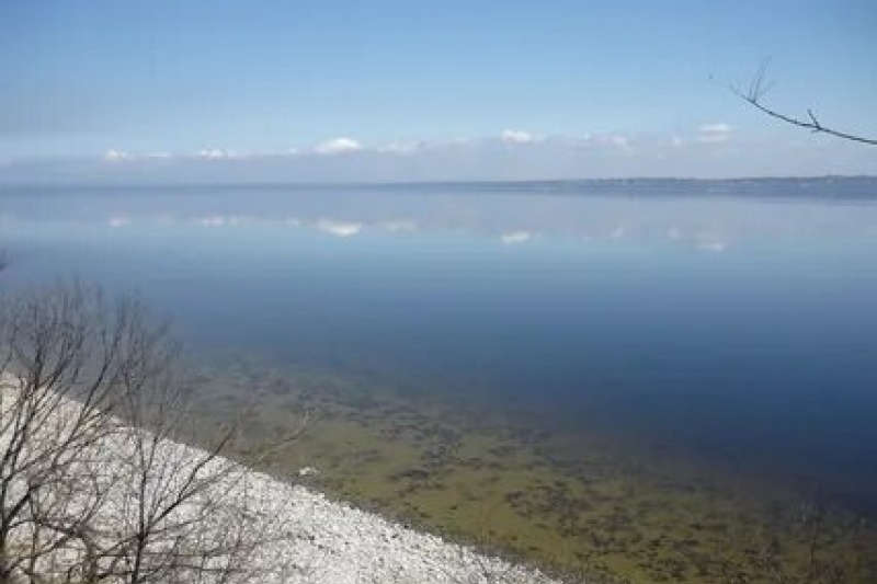 Під Дніпром через забруднення водосховища пестицидами закрили школи та дитсадки