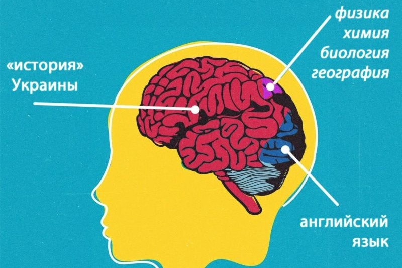 Образование в Украине: отменить все точные науки, всемирную историю и зарубежную литературу