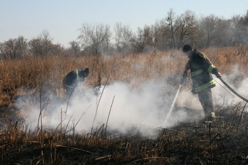 У Лохвицькому районі на Полтавщині горить торф