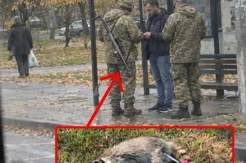 В Харькове ТЦКашники начали использовать ружья со снотворным