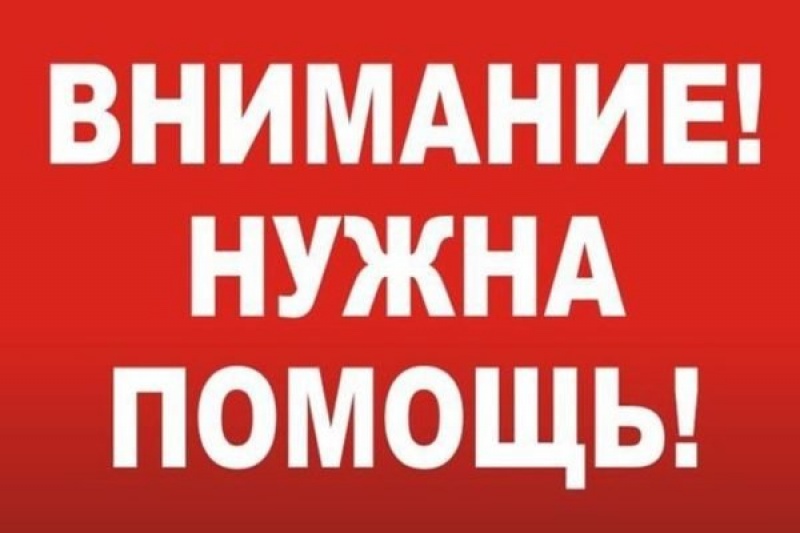 В Запорожской области сразу несколько человек пропали без вести: подробности