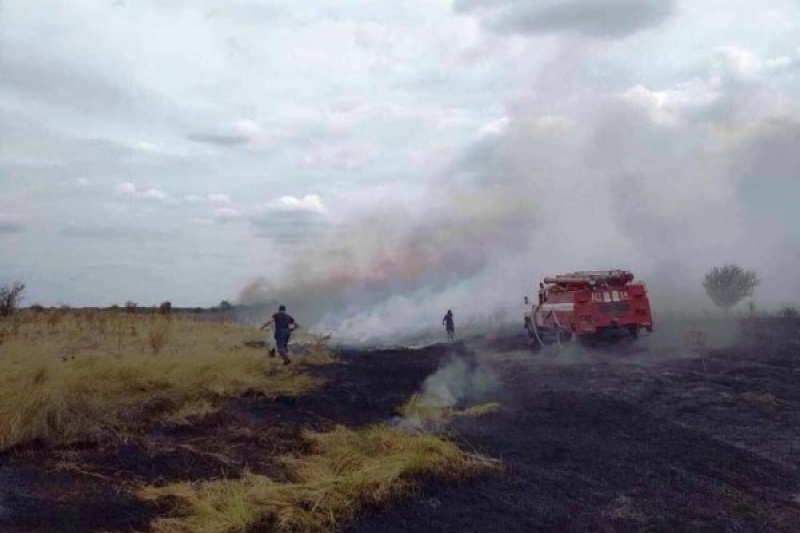 На Днепропетровщине массово горят поля и леса