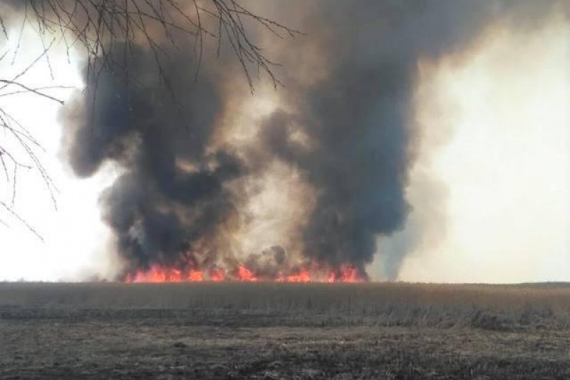 На Полтавщині горів національний парк «Нижньосульський», паліїв розшукують