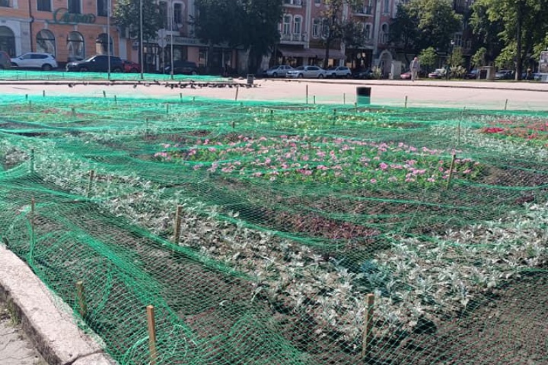 У Полтаві містяни висміяли депутатів і чиновників міської ради за піар на клумбах