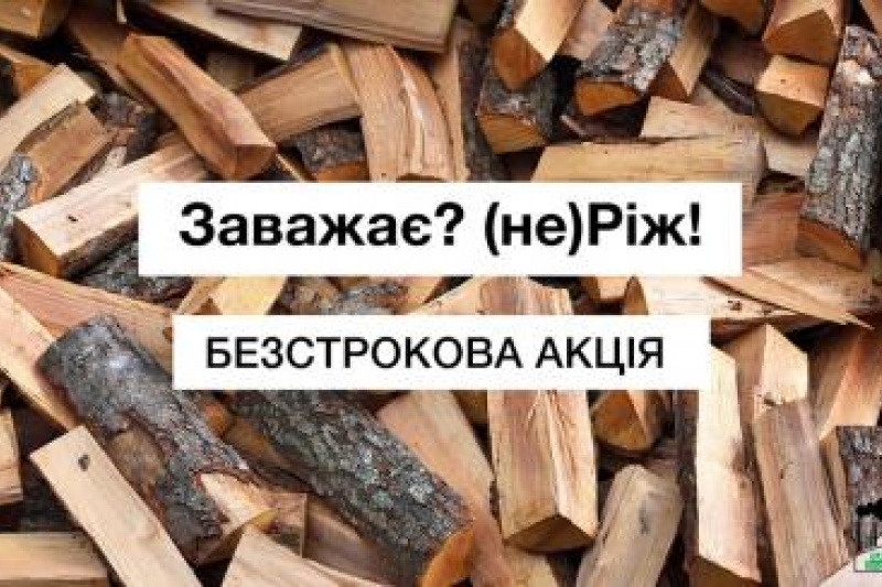 Активісти продовжують безстрокову акцію проти вирубки дерев