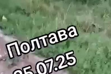 visit-country